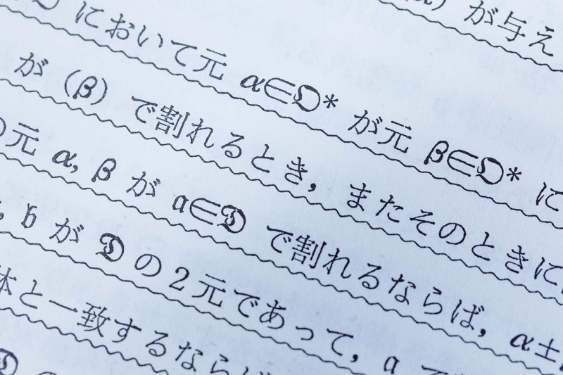 概要図