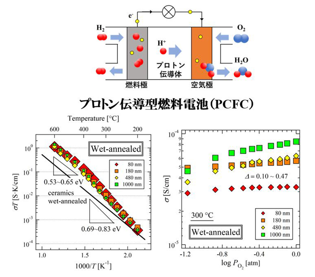 中温域で作動する固体酸化物燃料電池のアノード電極材料として応用可能なBaCe0.4Pr0.4Y0.2O3-δ