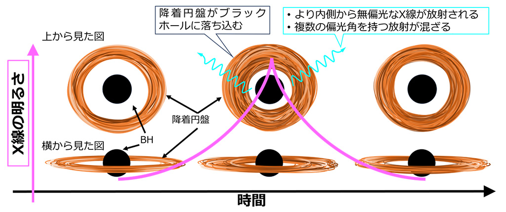 X線偏光によりブラックホール近傍の数秒の変化を捉えることに成功~X線偏光と短時間解析の合わせ技によるブラックホール近傍の理解~