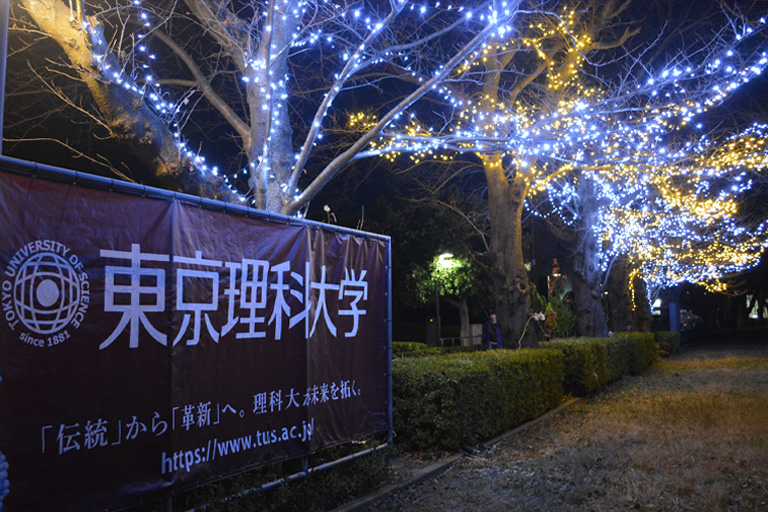 利根運河沿いにイルミネーションが点灯