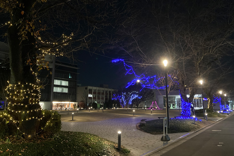 利根運河沿いにイルミネーションが点灯