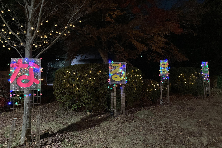 利根運河沿いにイルミネーションが点灯