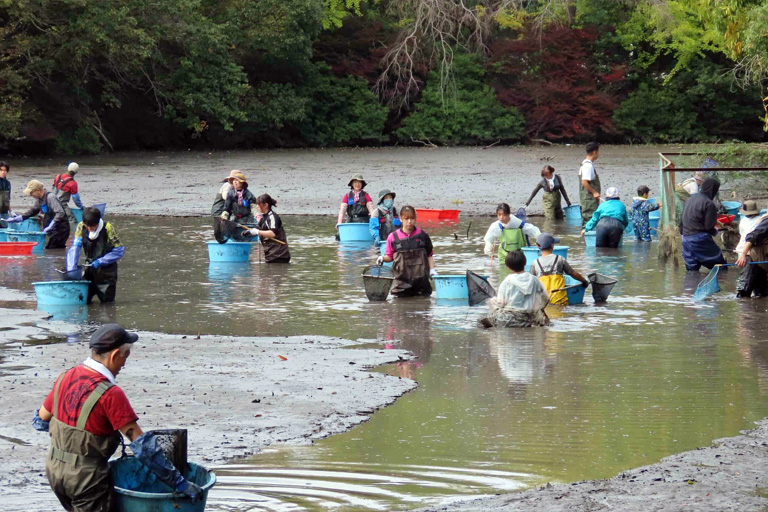 野田キャンパスで実施された「かいぼり」の様子が読売新聞に掲載