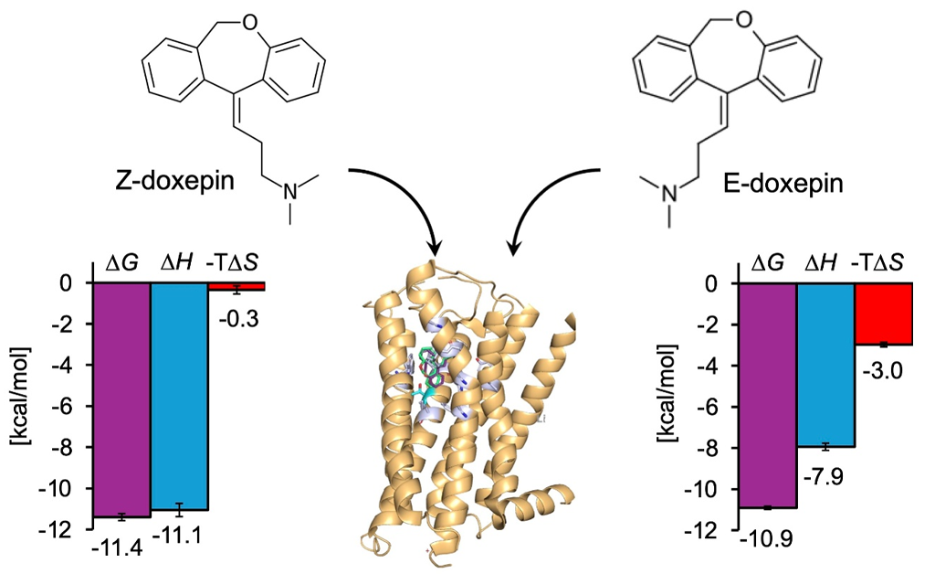 doxepin幾何異性体のヒスタミンH1受容体結合における熱力学的特性を解明～エンタルピー-エントロピー補償の内訳に基づいた評価手法を確立～