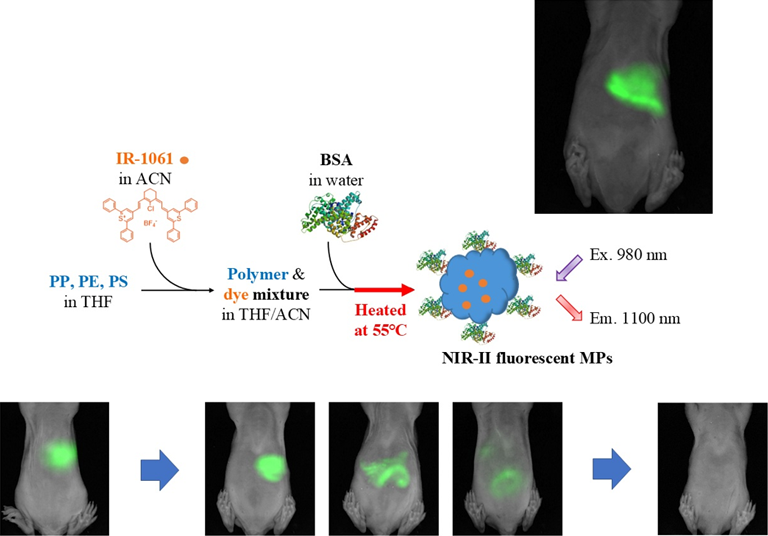 図1 PP、PE、PSの蛍光MP粒子の合成法