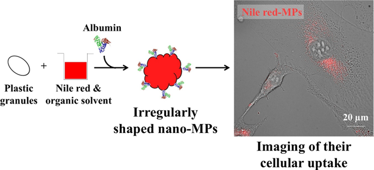 図2 赤色蛍光色素を導入したナノサイズの不定形MPsの合成法