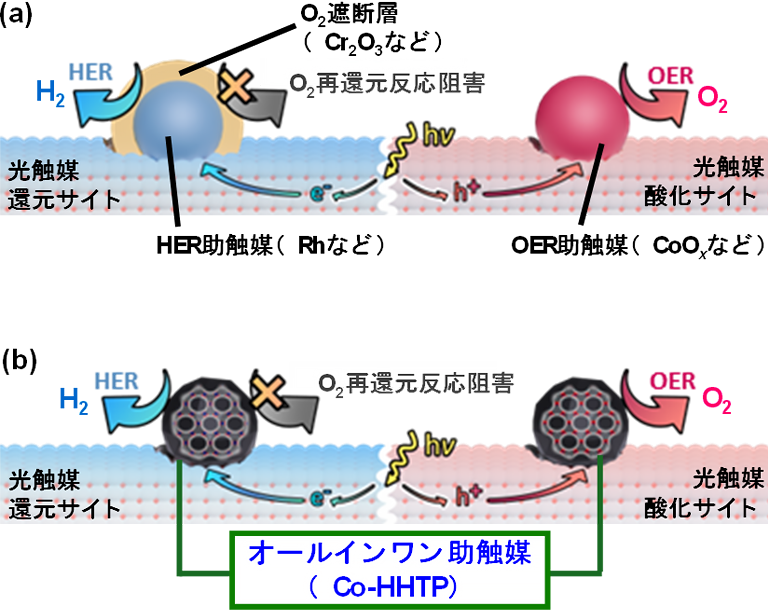 図2. (a) 既存の助触媒を用いたOWS光触媒システムと、(b) 本研究で追究したオールインワン助触媒を用いたOWS光触媒システム。