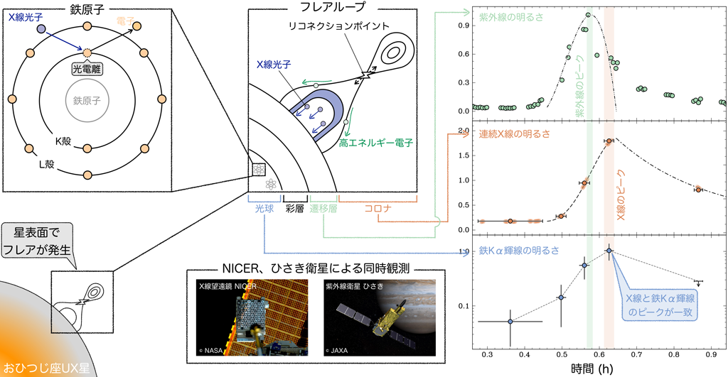 本研究の概要図