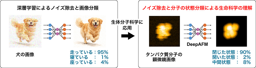 図1. 本研究の概要。