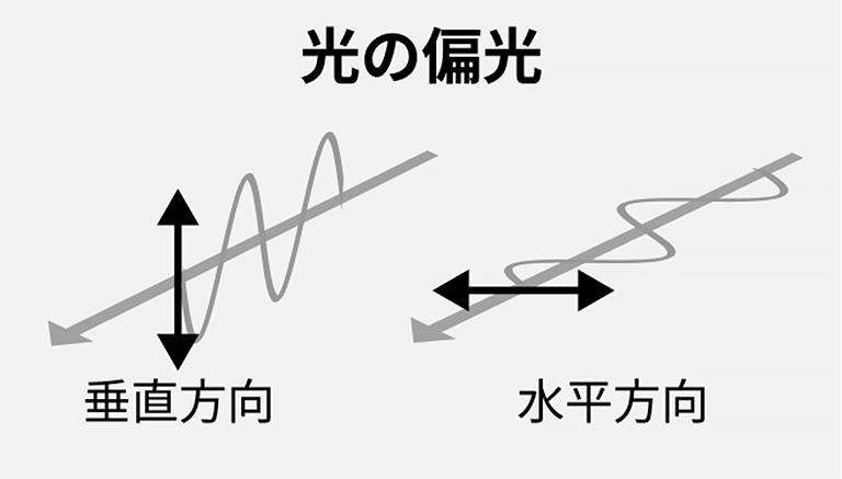 図1：光の偏光の概念図