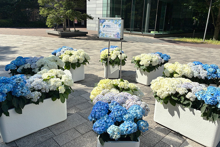 「全国みどりと花のフェアかつしか」に特別協賛（5/16～6/14）