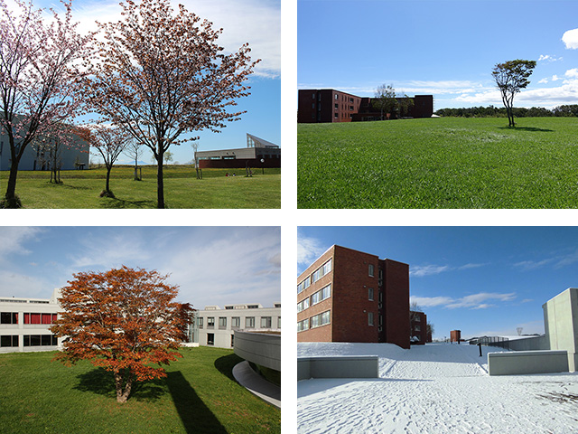 長万部_年間行事_写真